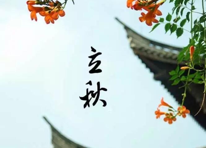青岛展柜鑫盛泰|一叶落而知天下秋